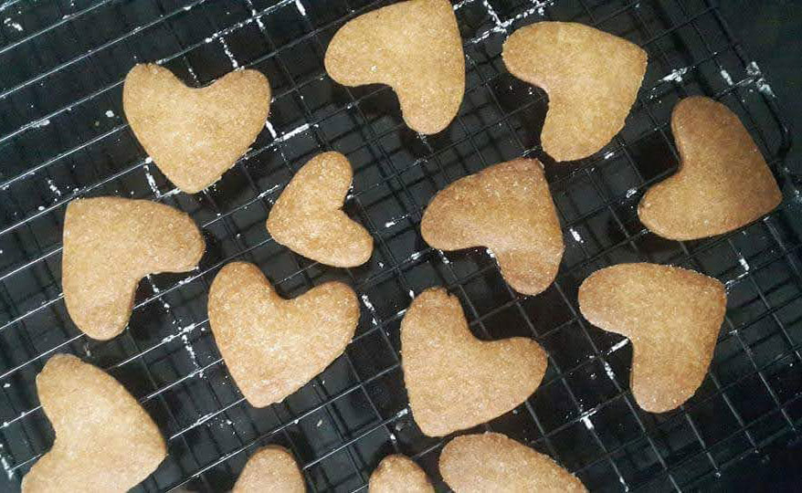 עוגיות של לב אהבה | נוגה ואריאל טמיר